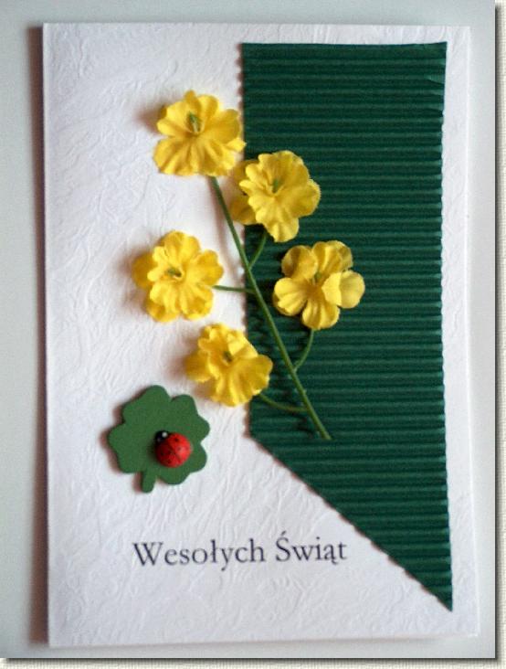 Następne zdjęcie